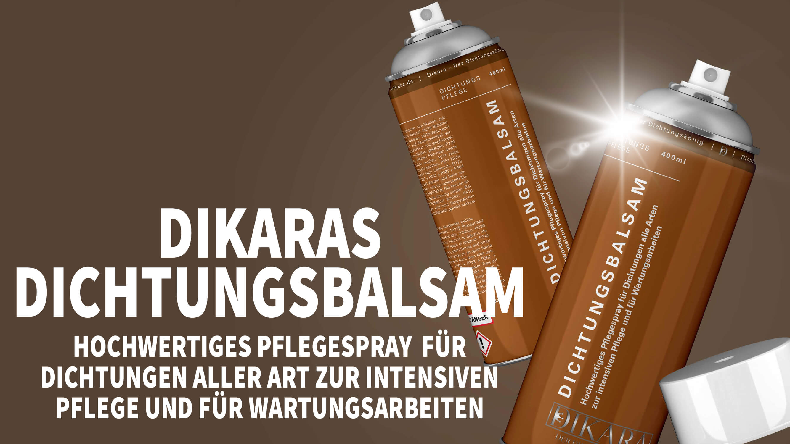 Dikaras Dichtungsbalsam - Premium Dichtungspflege öl- und fettfreies Silikonspray 400 ml