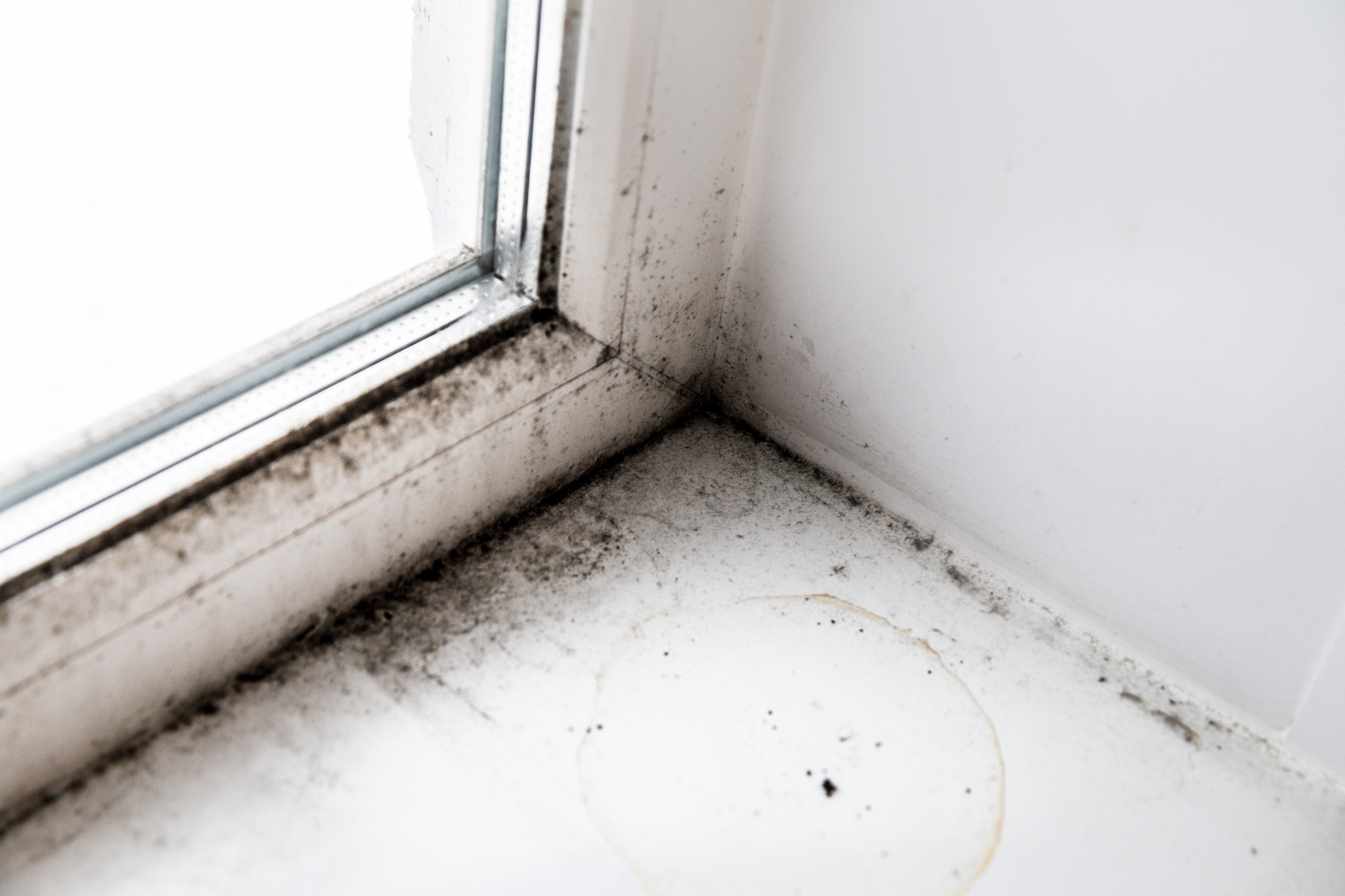 Schimmel vermeiden – warum richtiges Lüften im Winter entscheidend ist