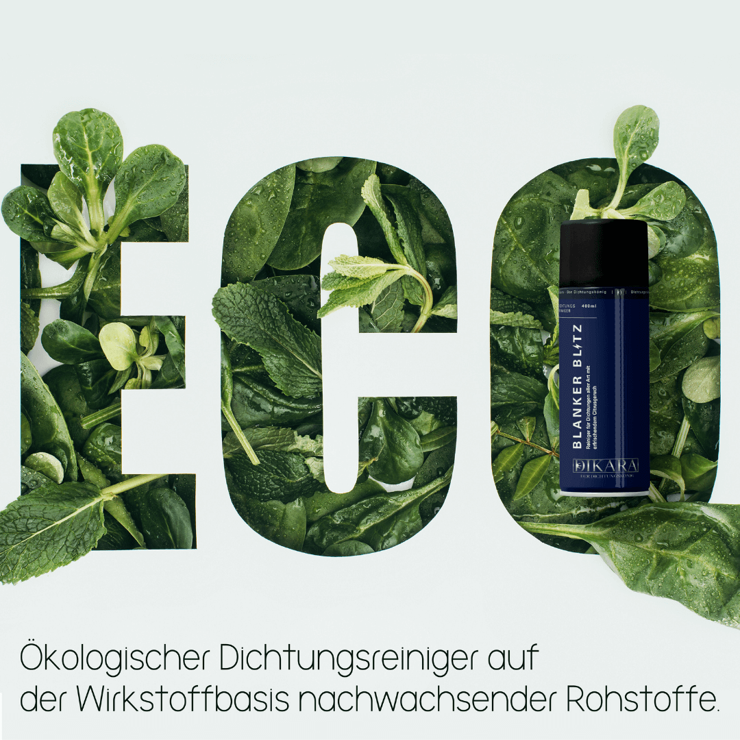 Blanker Blitz - Premium Dichtungsreiniger - Ökologischer Allzweckreiniger 400 ml